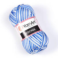 Бегонія Меланж 5355