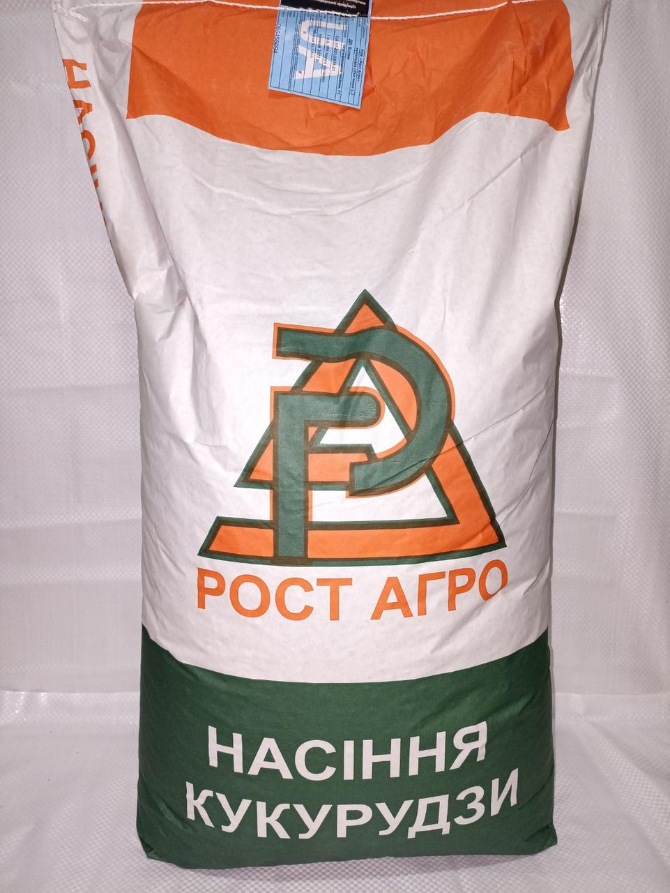 Насіння кукурудзи Галатея (Рост Агро)