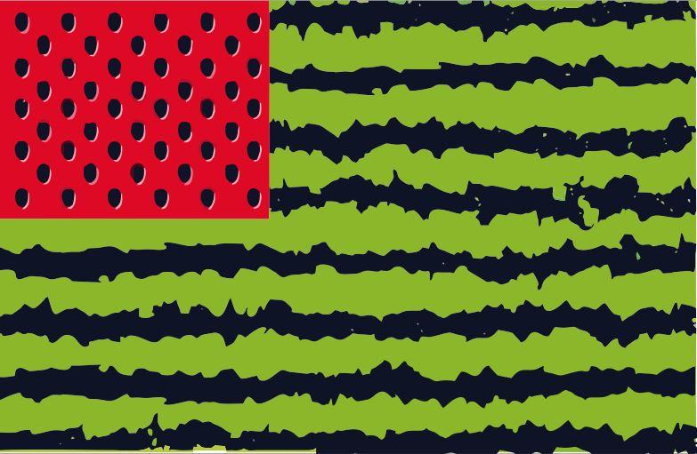 Прапор Херсонський кавун арбуз, 150х100 см, фото 1