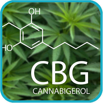 Олія CBG CBN CBC oil 