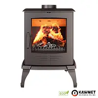 Чугунная печь KAWMET P8 (7.9 kW) EСO