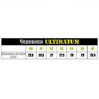 🔥 Берці тактичні "Caiman B-109" (Койот) берці поліції, поліцейські, фото 3
