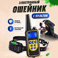 Електронний дресирувальний нашийник, Електронашийник для собаки (до 800м), Нашийники для дресирування собак, AST