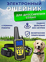 Електрошоковий нашийник для собак, Електро нашийник (до 800м), Електронні нашийники для собак, AST