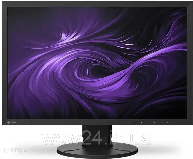 Монітор EIZO ColorEdge 24" czarny (CS2400R)