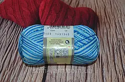 Бігонія Меланж 0199