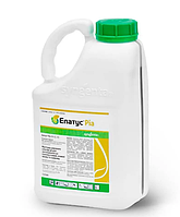 Фунгіцид Елатус Ріа 5л.