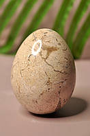 Яйце з натурального каменю яшма, 6.5 см