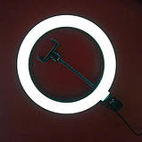 Led кільцева лампа 26 см, Кільцева лампа для блогерів, Кільцева QW-456 лампа велика, фото 10