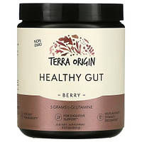Terra Origin Healthy Gut 243 грам, Ягода HS