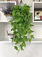 Штучний ампельний плющ ( латекс 80 см), фото 3