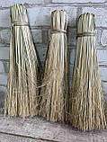 Трав'яна щітка - натуральний декор, заготовка для віничків, 35-38 см, фото 3