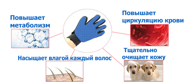 Перчатка для вычесывания шерсти с домашних животных True Touch Pet Gloves! Скидка - фото 4 - id-p2138979356