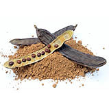 Кероб світлий не смажений Cacaogold, 250 г, фото 2