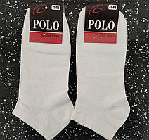 Шкарпетки  Polo 3 пари в упаковці розмір 41-45 Демисезон Білі
