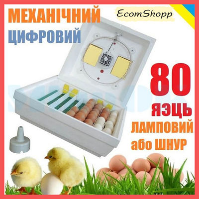 Инкубатор | купить недорого, на Prom | Украина