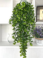 Штучний, ампельний евкаліпт. Підвіс евкаліпта (зелений 80 см), фото 2