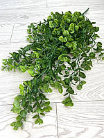 Штучний, ампельний евкаліпт. Підвіс евкаліпта (зелений 80 см), фото 5