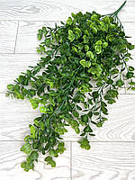 Штучний, ампельний евкаліпт. Підвіс евкаліпта (зелений 80 см), фото 6