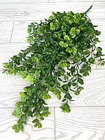 Штучний, ампельний евкаліпт. Підвіс евкаліпта (зелений 80 см), фото 4