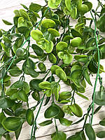 Штучний, ампельний евкаліпт. Підвіс евкаліпта (зелений 80 см), фото 8