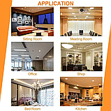 Boxlood - світлодіодні лампи MR16, 5,00 Вт, 12,00 В, фото 6