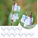 Затискач -прищіпка для рослин, затискач для щеплення рослин, фото 2