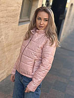 Куртка женская красная короткая весна осень плащевка | Модная женская демисезонная куртка Пудра, 42/44