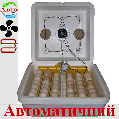 Домашний инкубатор | купить недорого, на Prom | Украина