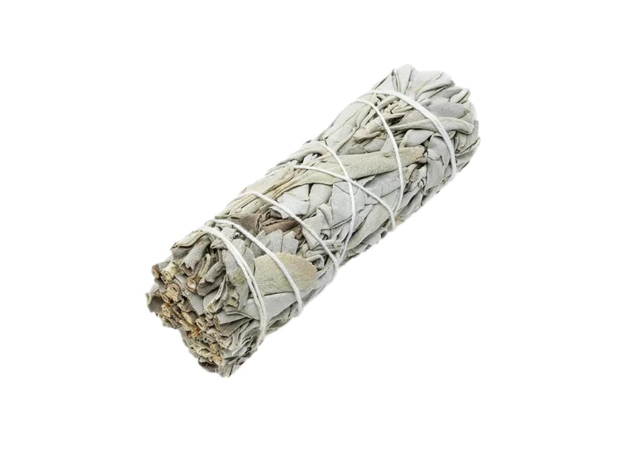 Калифорнийский белый шалфей White Sage для окуривания пучок 10 см 30-40 г - фото 1 - id-p2139275672
