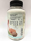 Мінеральний комплекс GOLD LABS  Natural Minerals with horsetail extract  90 tablets, фото 3