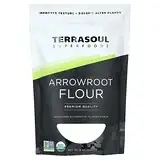 Terrasoul Superfoods, борошно з арроруту, 454 г (16 унцій) Дніпро