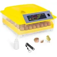 Инкубатор - 48 яиц - включая лампу для стрижки и дозатор воды - полностью автоматический