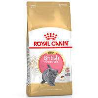 Royal Canin Kitten British Shorthair 10 кг