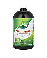 Хлорофіл рідкий з нетральним смаком веганський, Chlorofresh Chlorophyll Liquid, Nature's Way, 480 мл