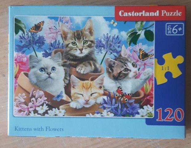УЦІНКА! CASTORLAND PUZZLE 120 MIDI. KITTENS WITH FLOWERS / Котики з квітами