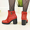 Червоні черевики жіночі на стійкому каблуці, натуральна шкіра і замша, фото 4