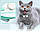 Інтерактивний нашийник для котів із лазером SmartPaws Collar, фото 2