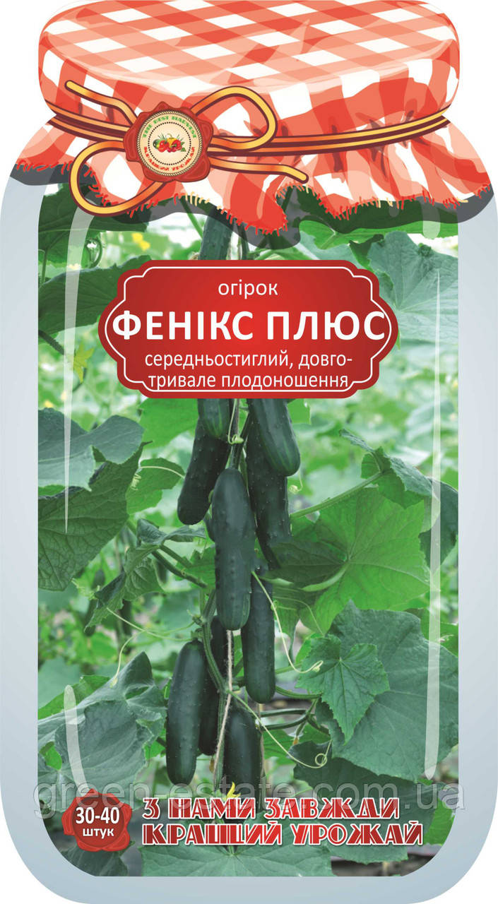 Огірок Фенікс плюс