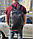 Чоловічий шкіряний рюкзак міського типу Tiding Bag B3-10354A чорний, фото 9