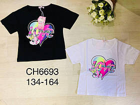 Футболка для дівчат оптом, S&D, 134-164 см, № CH-6693