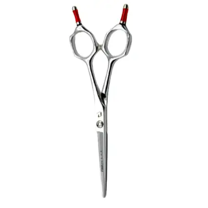 Ножиці для стрижки Proline 5.5" (BF-55)