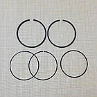 Кільця поршневі STD двигуна 192 бензин