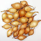 Цибуля сівок Голіат (Goliat) Голландія 1 кг, фото 2