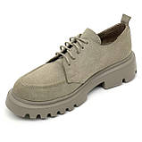 Жіночі замшеві лофери на шнурках бежевого кольору Zlett 2771z лате розмір 36, фото 8