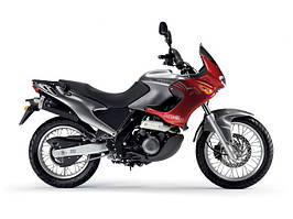 Pegaso 650