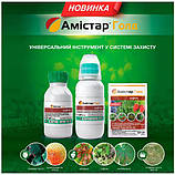 Фунгіцид Амістар Голд, 10 мл Syngenta, фото 2