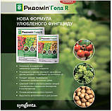Фунгицид Ридоміл Голд R, 50 г Syngenta, фото 2