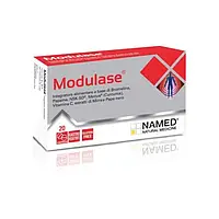 Modulase NAMED 20 таб. підтримка функції суглобів, слизової оболонки, протизапальне, Модулаза