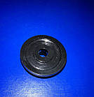 Запасний ролик для системи Дельфін, фото 3